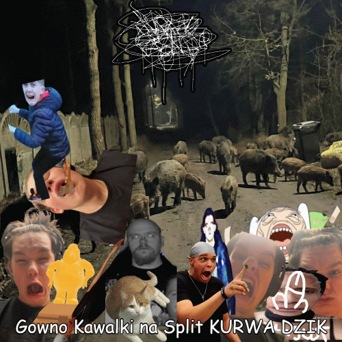 Pusak Grind : Gowno Kawalki na Split KURWA DZIK